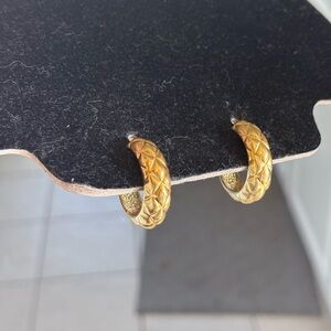 Elegant Gold Hoop Earrings